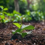 Why Your Compost Isnt Working And How To Fix It Fast